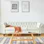 Roll Arm Classic Tufted Chesterfield Settee Velvet Sofa with Channel