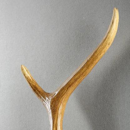 Retro Deer Horn Wall Lamp